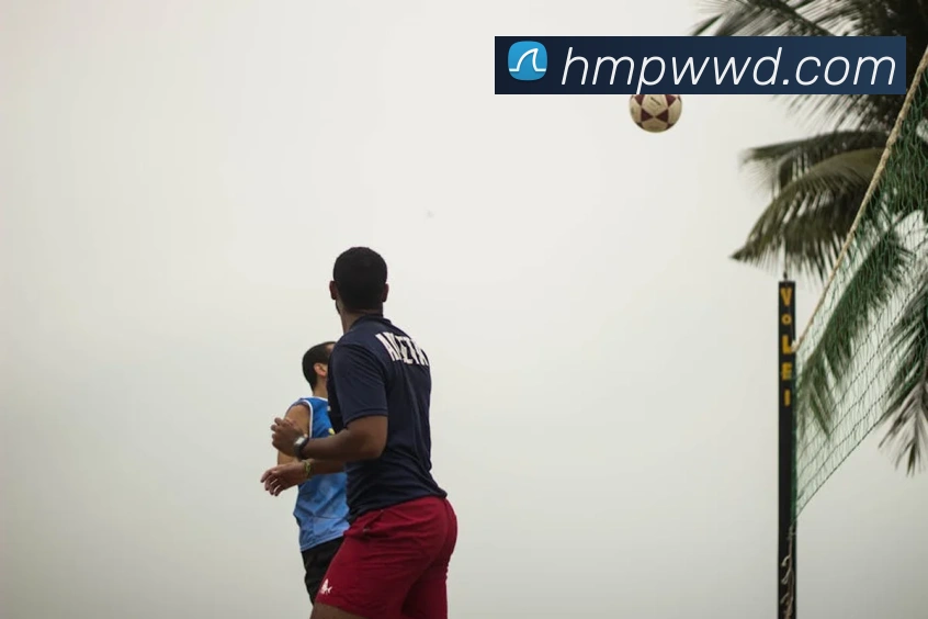 问鼎娱乐APP 封面图